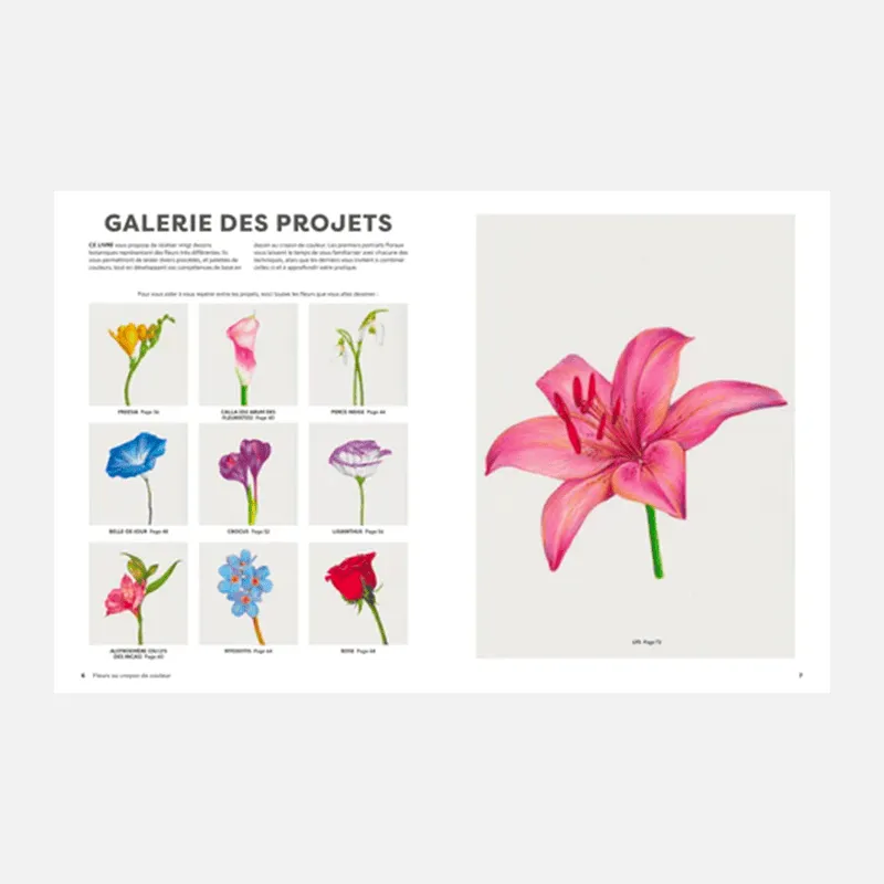 My365 Fleurs au crayon de couleur livre tutoriel
