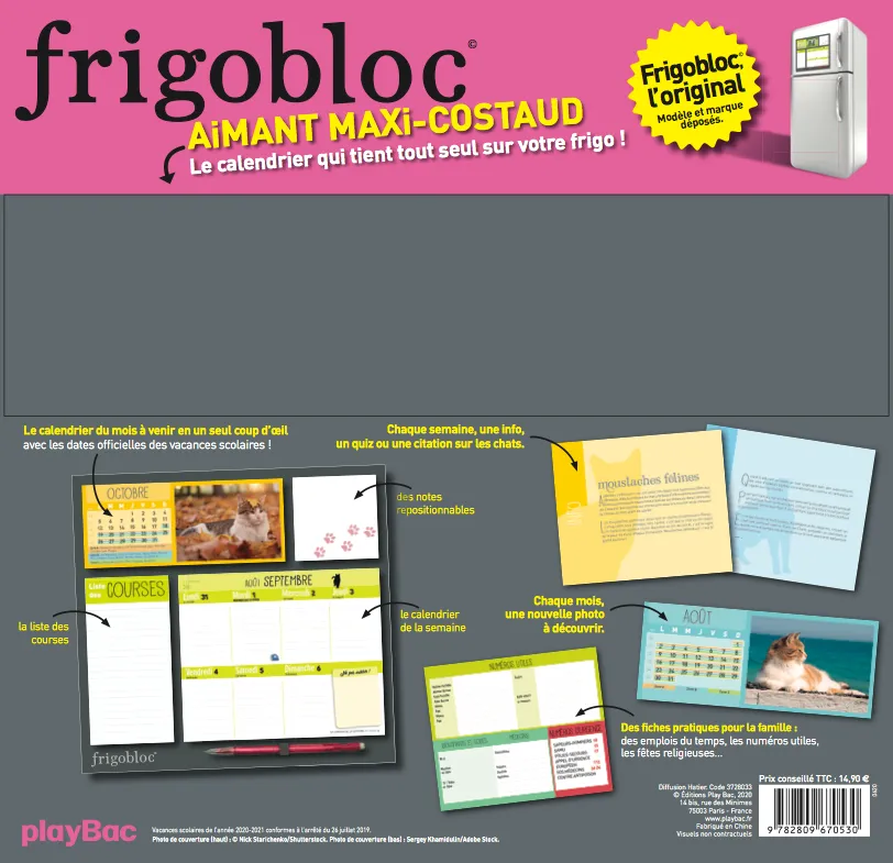 Frigobloc Chats 2021 calendrier familial aimanté 16 mois
