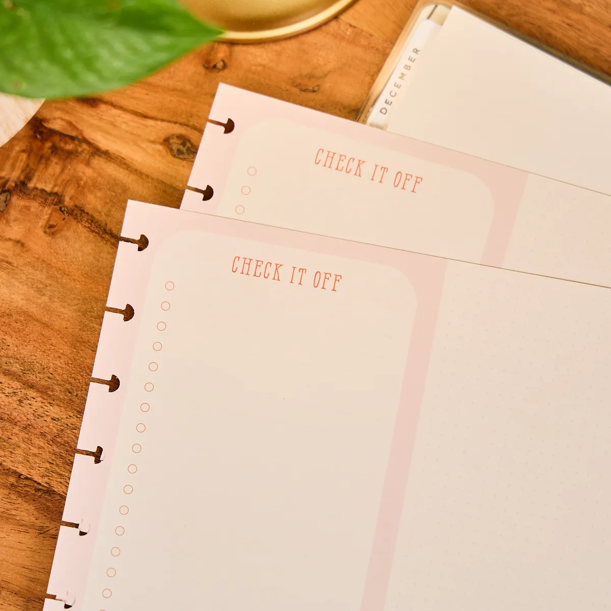 Happy Planner Teaching Seasons recharge Big 40 feuilles dashboard ligné