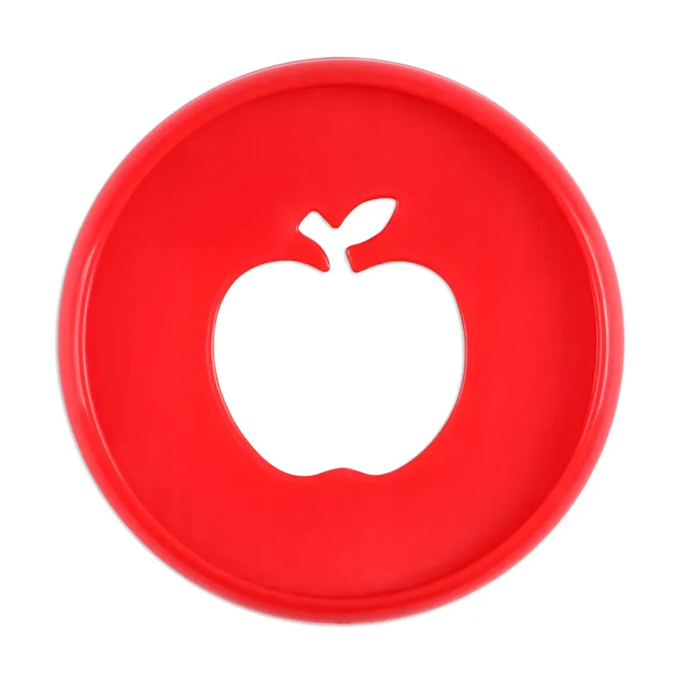 Happy Planner Red Apple disques plastique Medium x11 pomme