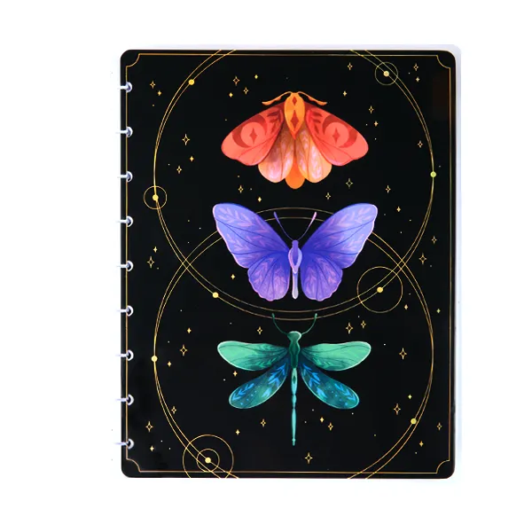 Happy Planner couverture agenda à disques Classic interchangeable