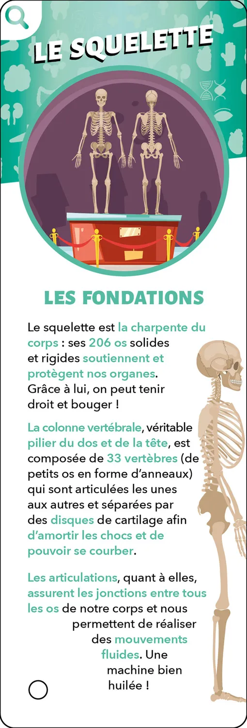 Les Incollables Éventail Passion Corps humain éventail quiz corps humain