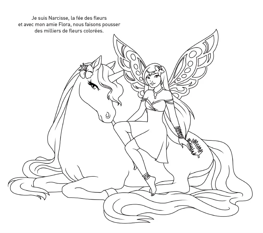Ma pochette Licornes et fées cartes à pailleter coloriage
