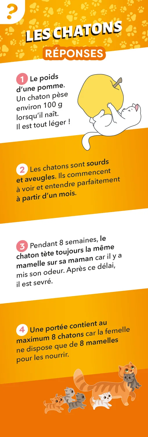 Frigobloc Éventail Passion Chats quiz enfant