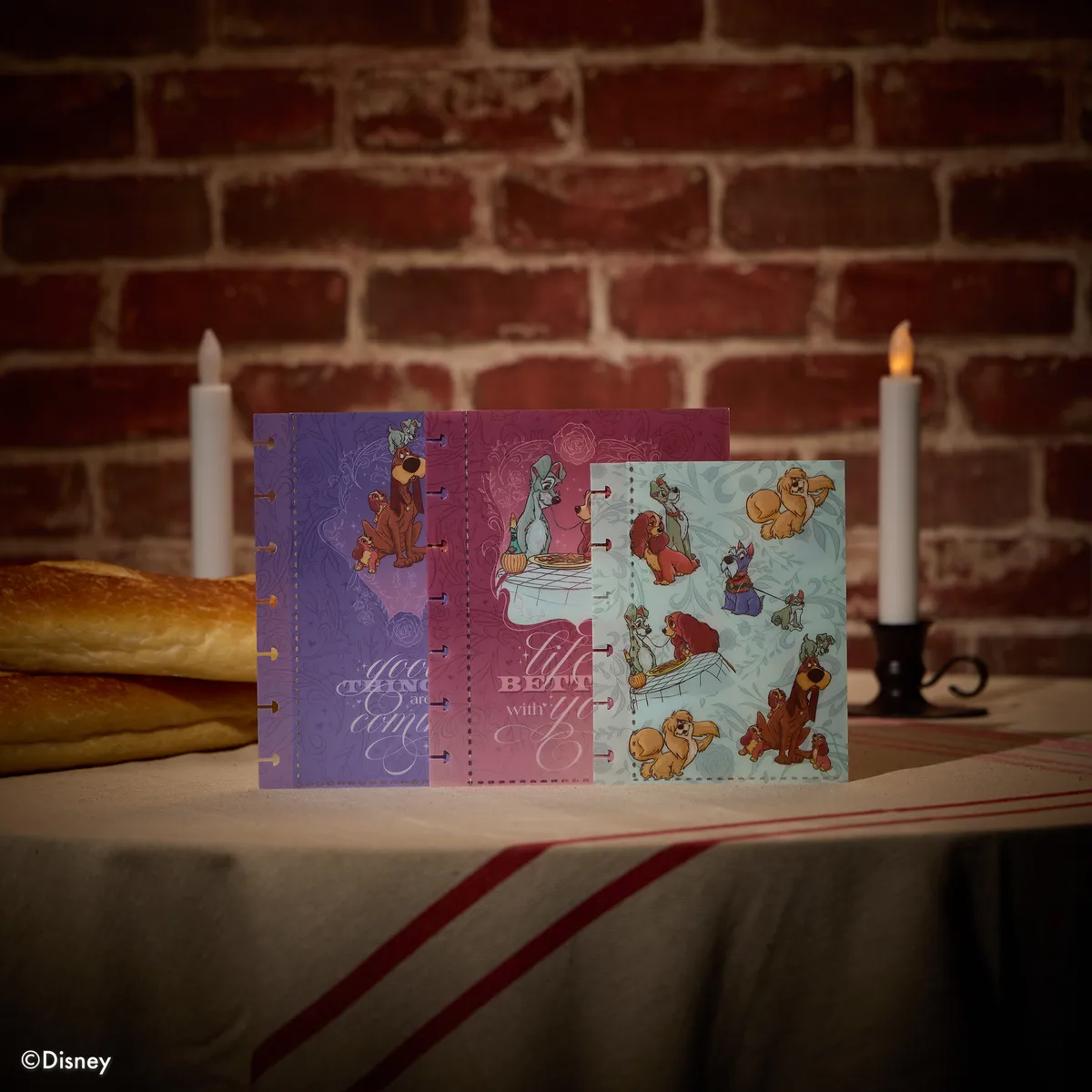 Happy Planner Disney Lady & the Tramp pochettes x3 plastique