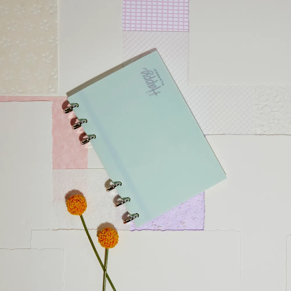 Happy Planner Frosted Mint agenda chevalet semainier 52 feuilles