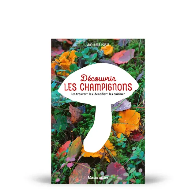 My365 Découvrir les champignons livre nature