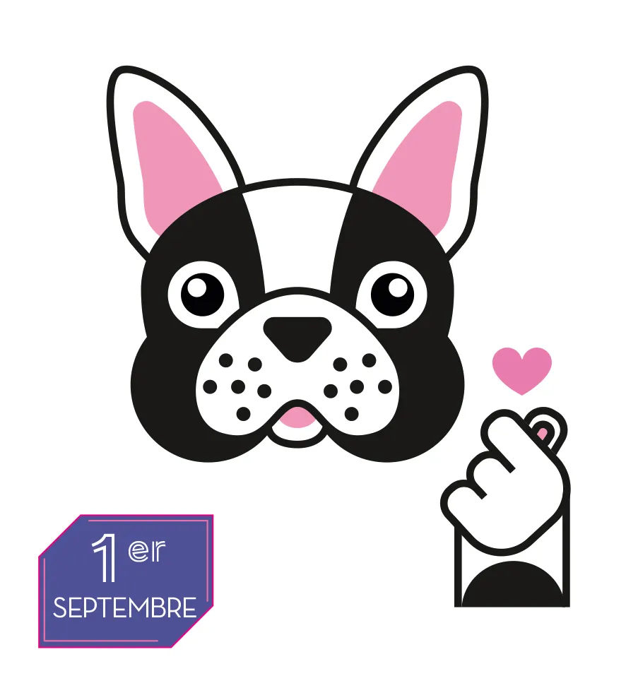Frigobloc 365 jours K-POP mini calendrier éphéméride