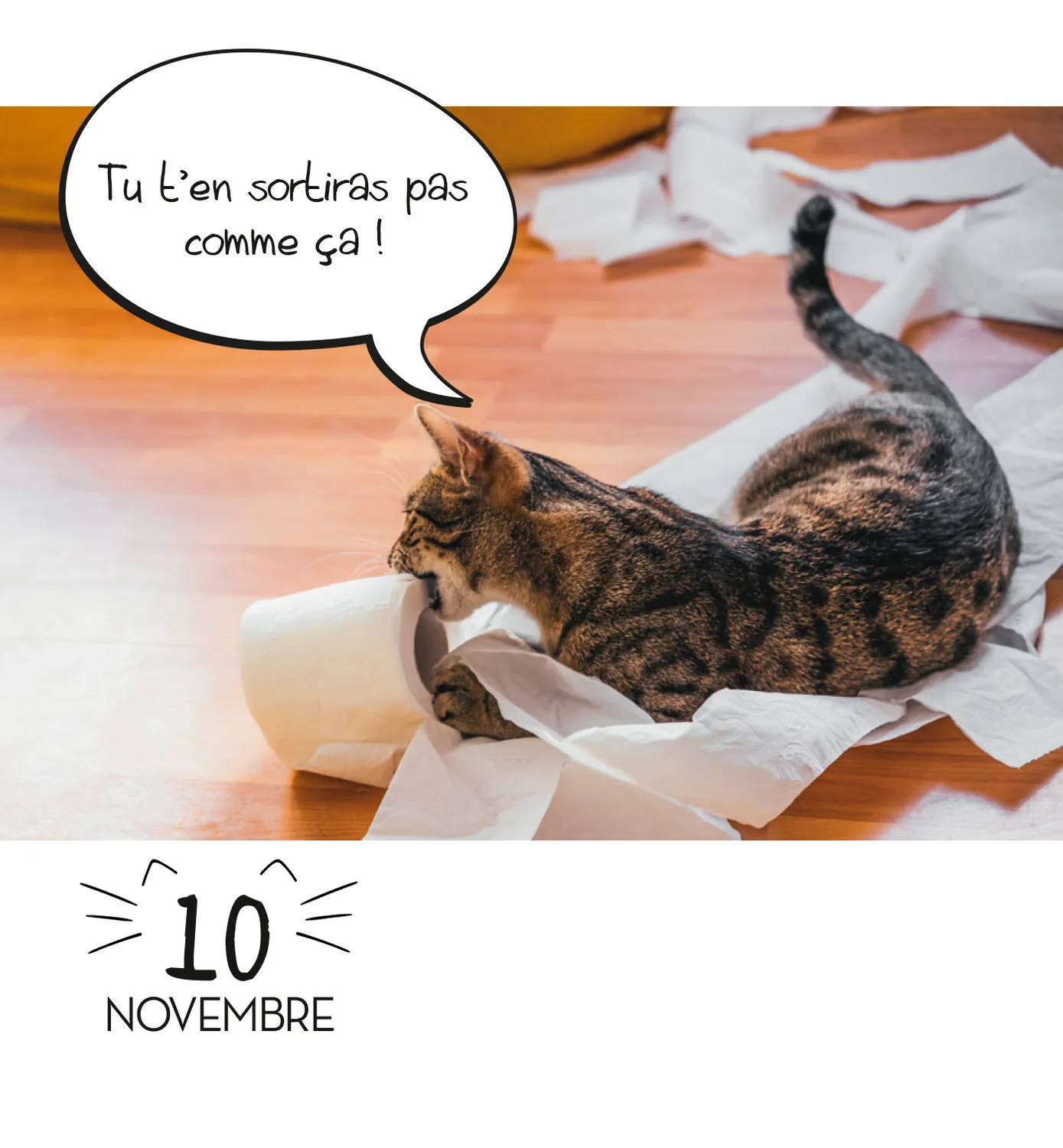 Frigobloc LOL Cats mini calendrier 365 jours chats