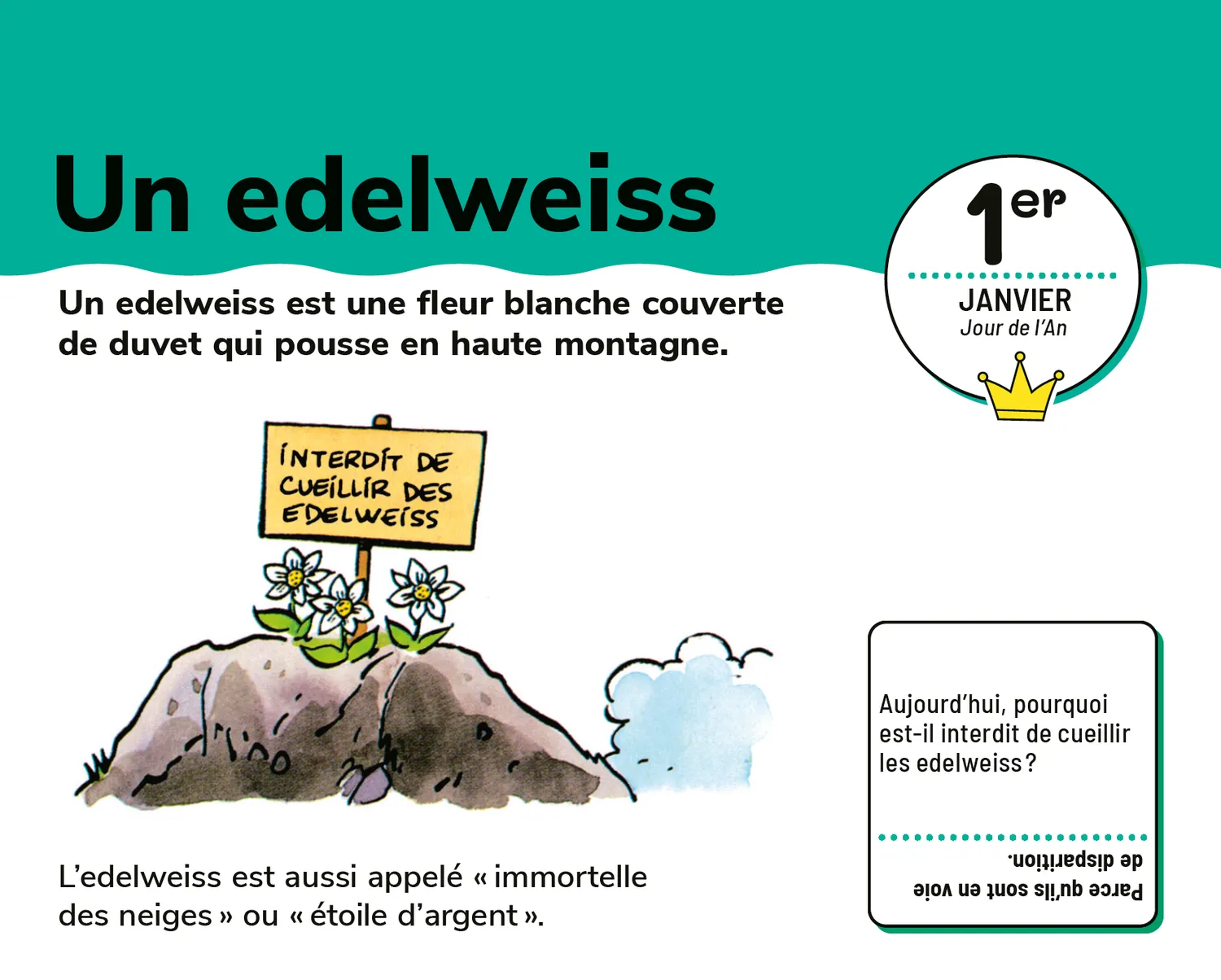 Frigobloc Les Incollables Un mot par jour CM2 calendrier 10-11 ans