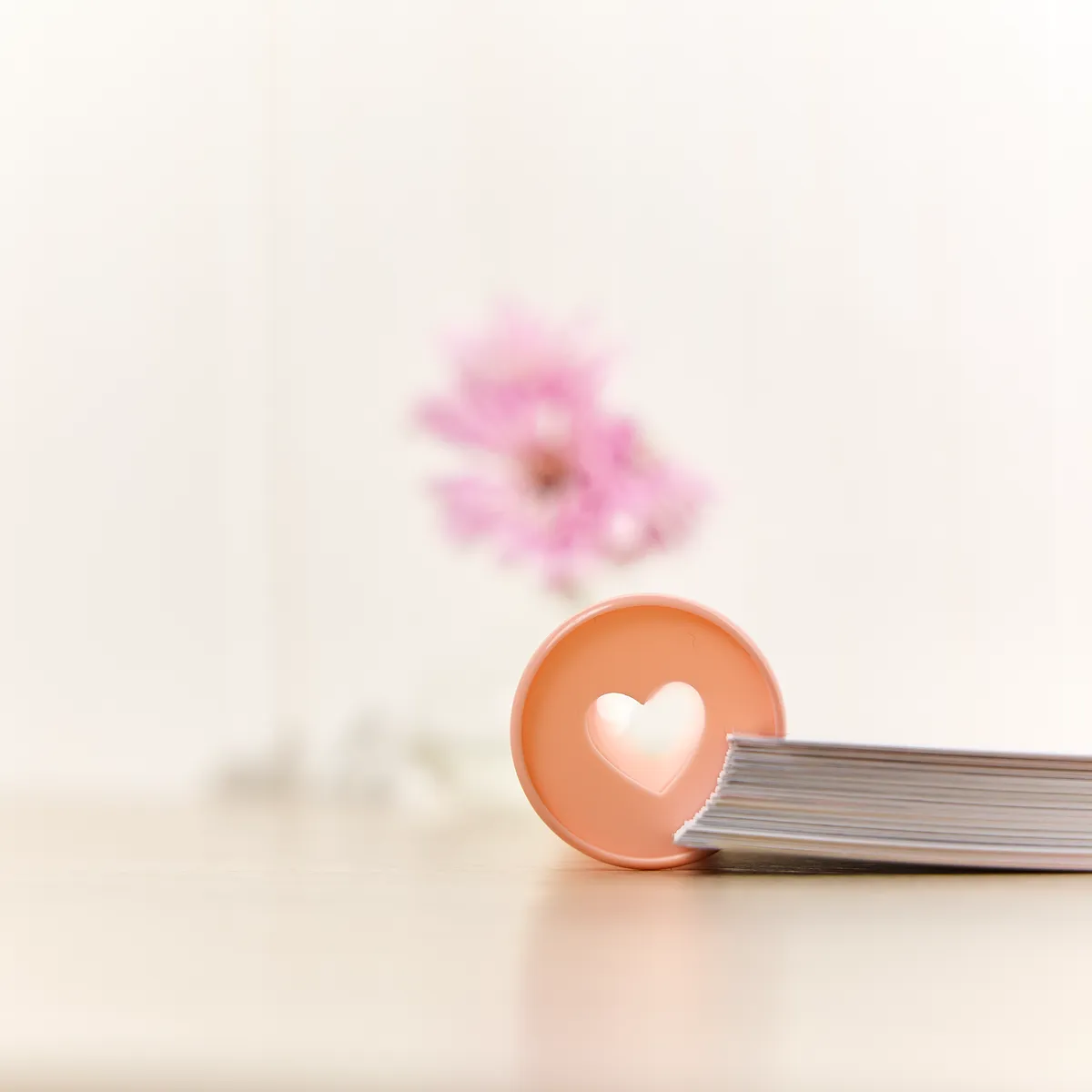 Happy Planner Blush disques plastique Expander x11 rose