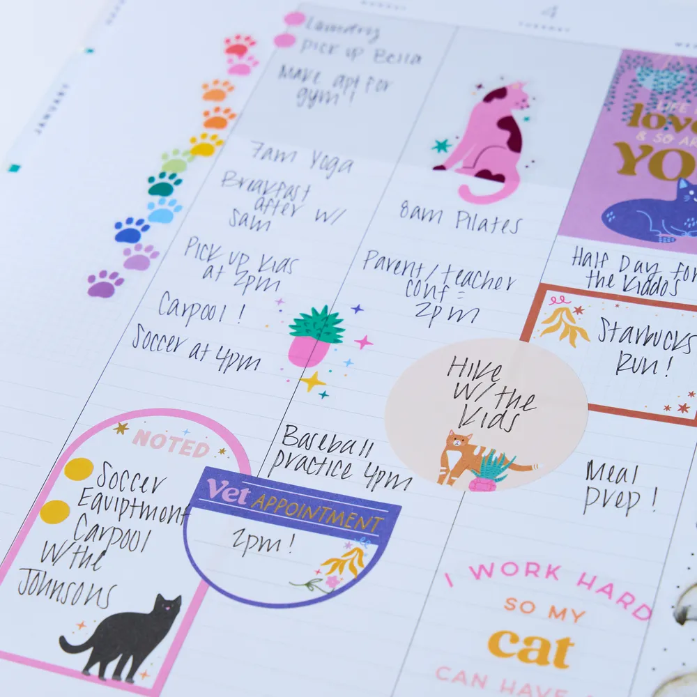 Happy Planner Whimsical Whiskers stickers chat Big 870