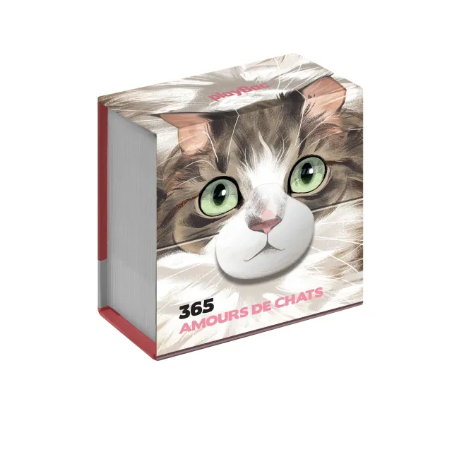 Frigobloc Mini calendrier 365 amours de chats éphéméride