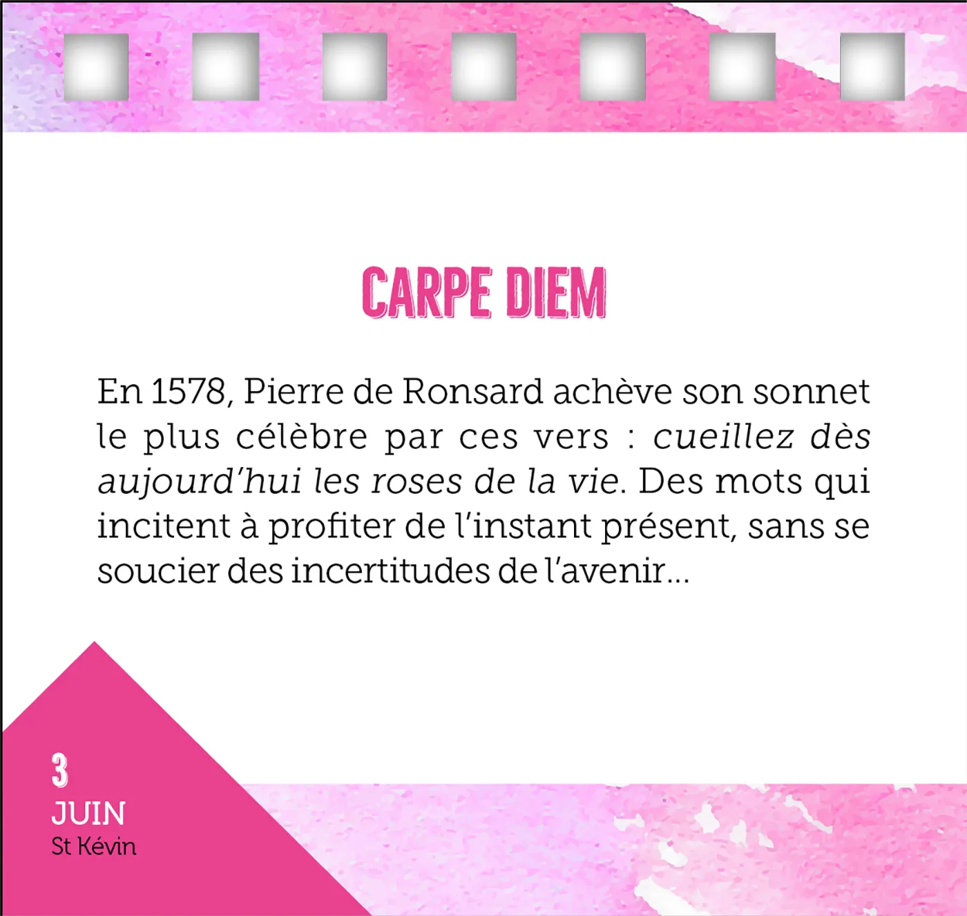 Frigobloc 365 jours calendrier rose citations