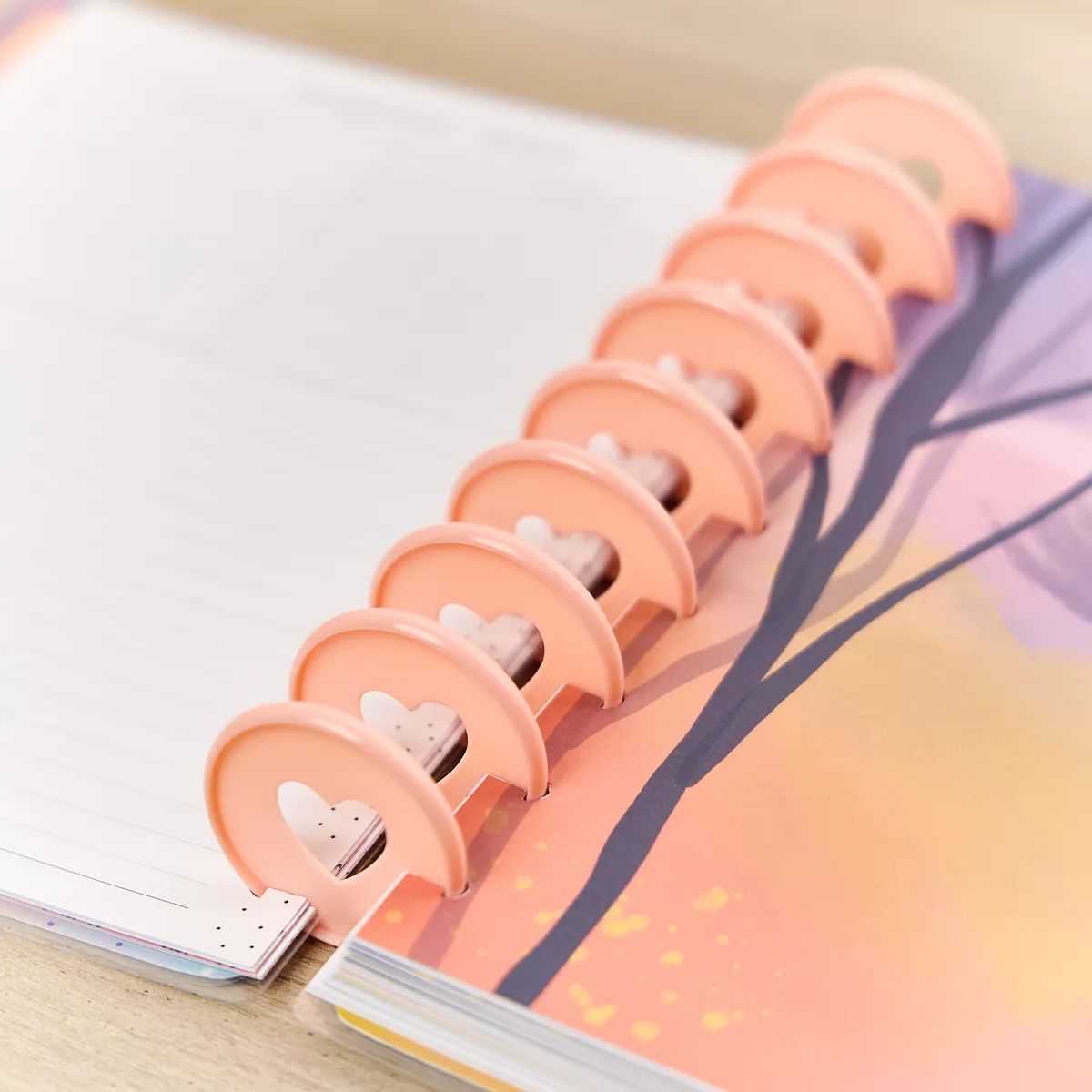 Happy Planner Blush disques plastique Expander x11 rose