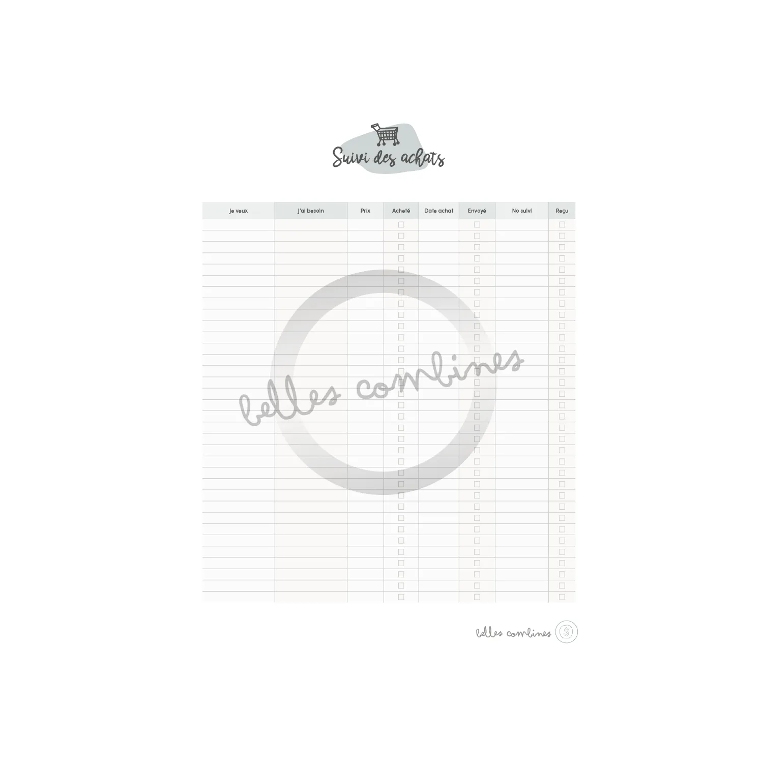 Les Belles Combines Petites Combines Suivi de nos achats fiche française