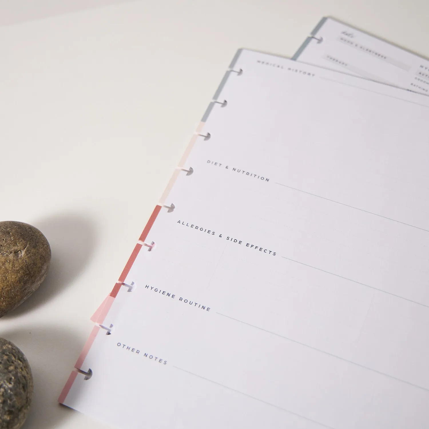 Happy Planner Rise Align extension aidant Classic