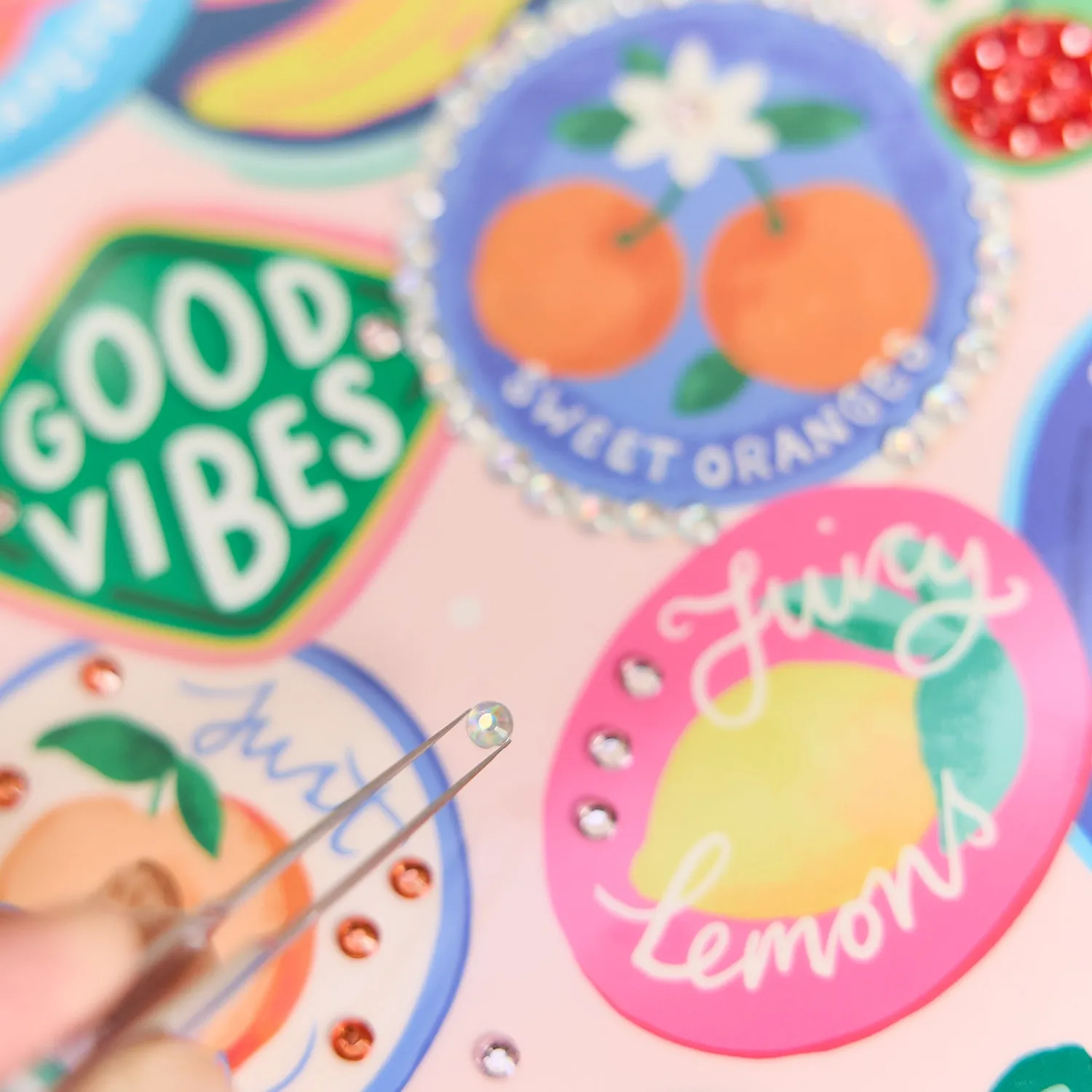 Happy Planner Sweet Plans Classic DIY couverture agenda fruits
