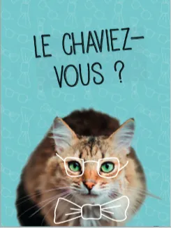 Quiz Chat boîte jeu 350 questions et défis