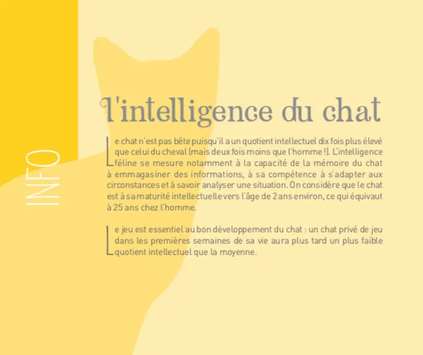 Frigobloc Chats 2021 calendrier familial aimanté 16 mois