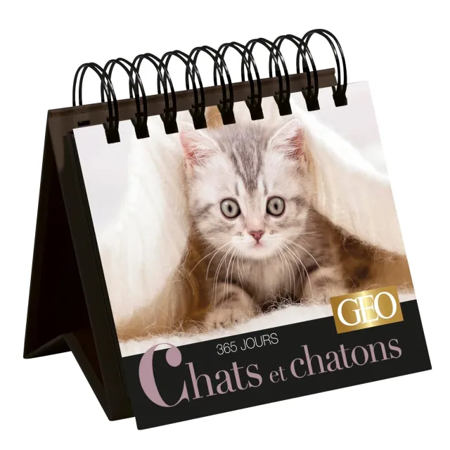 Frigobloc 365 jours Chats et chatons calendrier chevalet