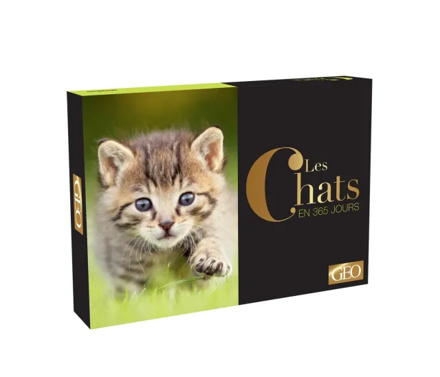 Frigobloc Géo Chats en 365 jours calendrier photos quotidien