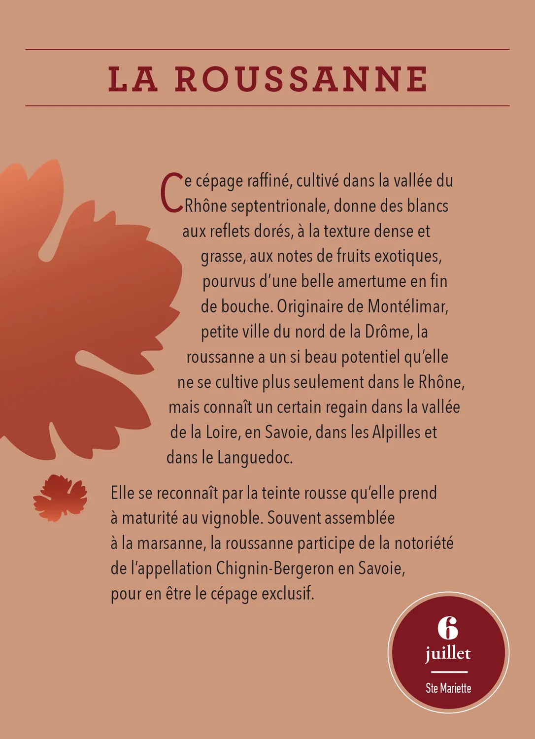 Frigobloc Amateur de vin 365 jours calendrier à bloc