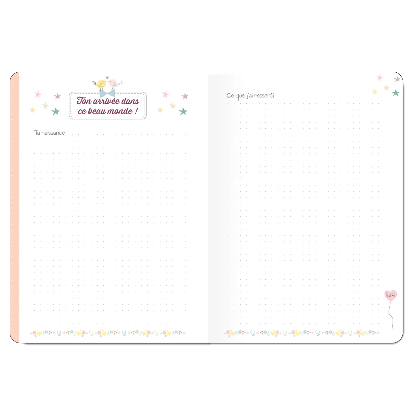 Corolle Journal jeune maman carnet bébé 160 pages élastique