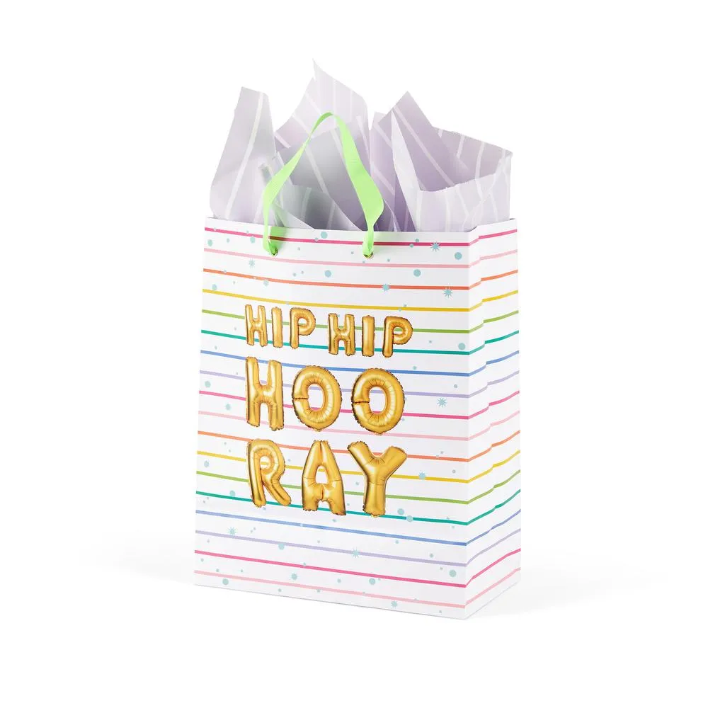 Happy Planner Everyday Gift Bag Book 5 pochettes cadeau