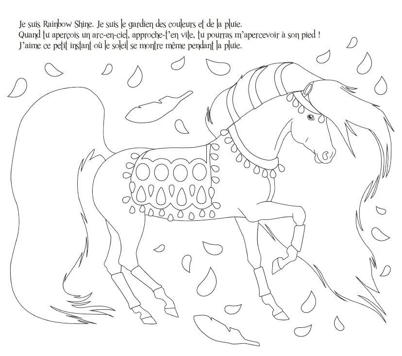 Frigobloc Ma pochette Chevaux carte à pailleter 5 cartes
