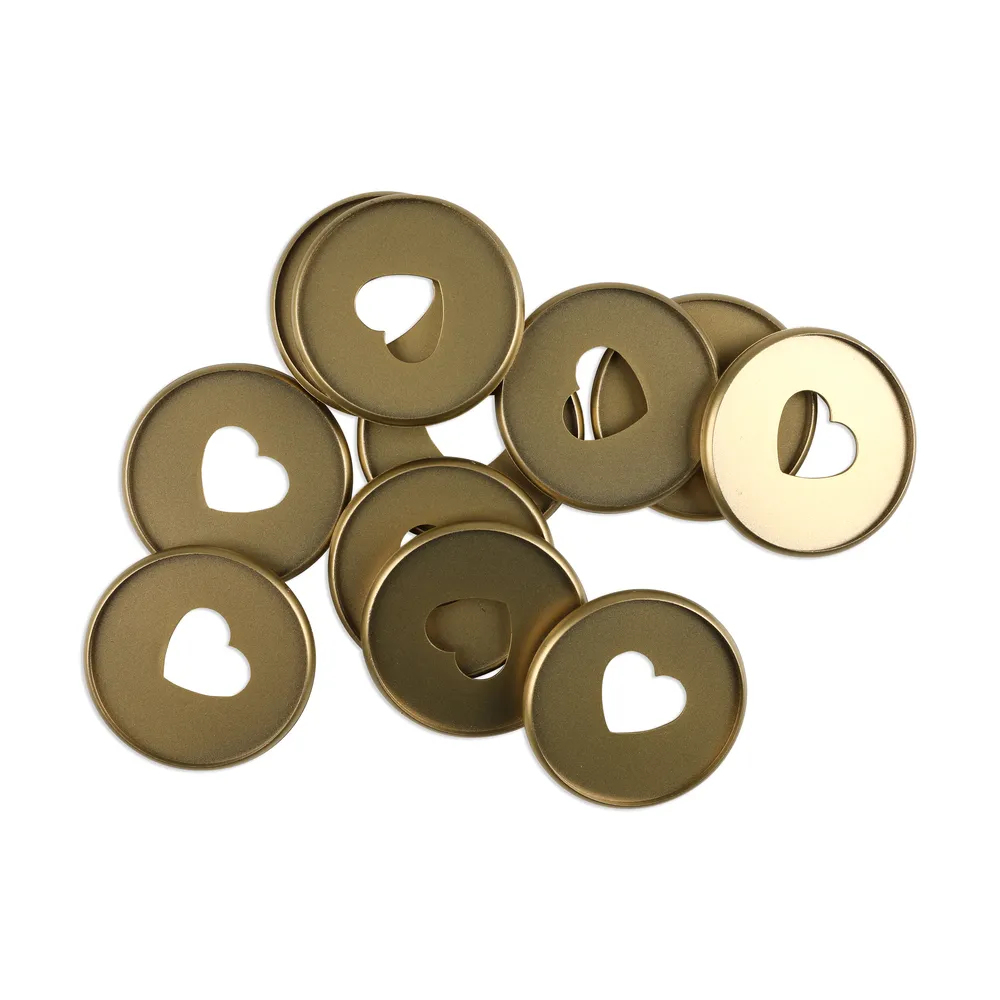 Happy Planner Expander Discs disques or expandeurs