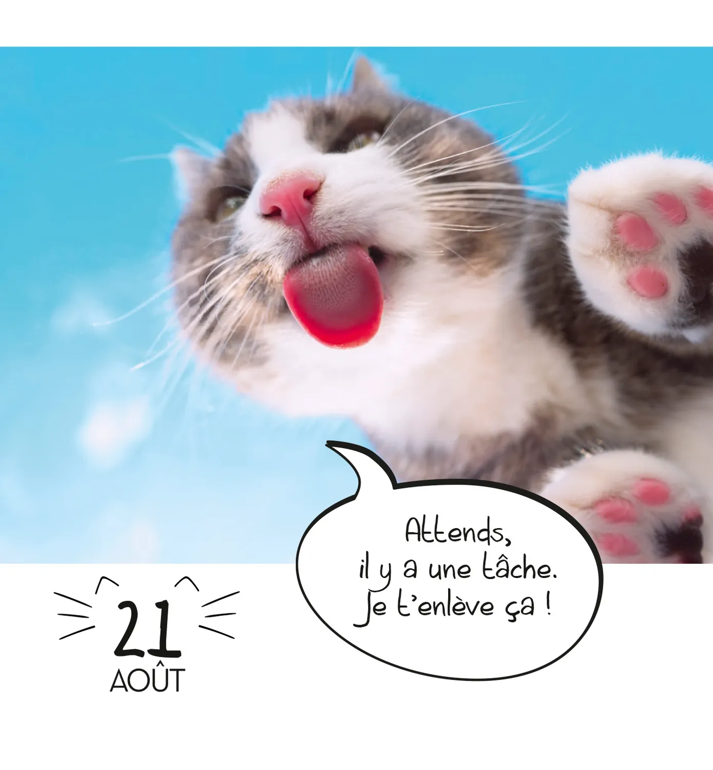 Frigobloc LOL Cats mini calendrier 365 jours chats