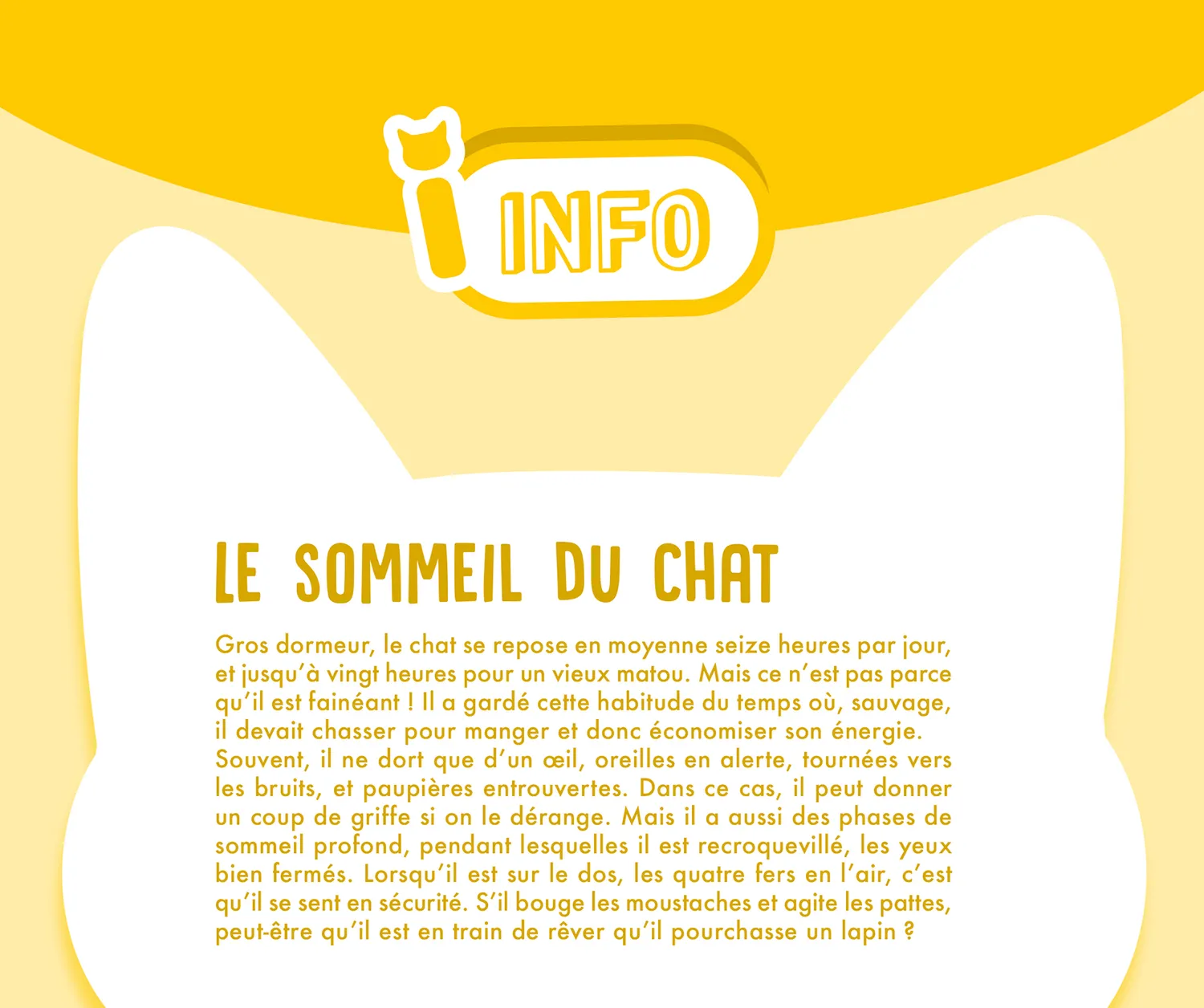 Frigobloc Hebdomadaire Chat 2027 calendrier familial 16 mois