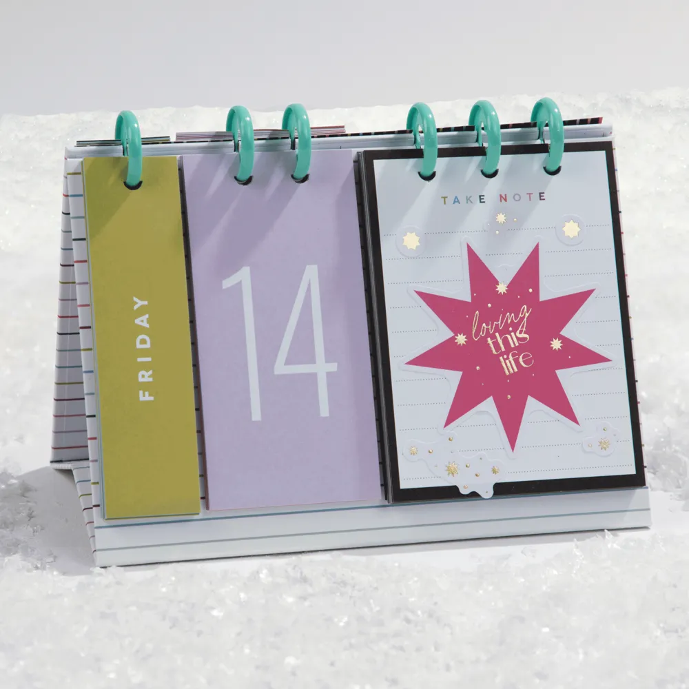 Happy Planner Plan Your Best Life calendrier bureau à anneaux