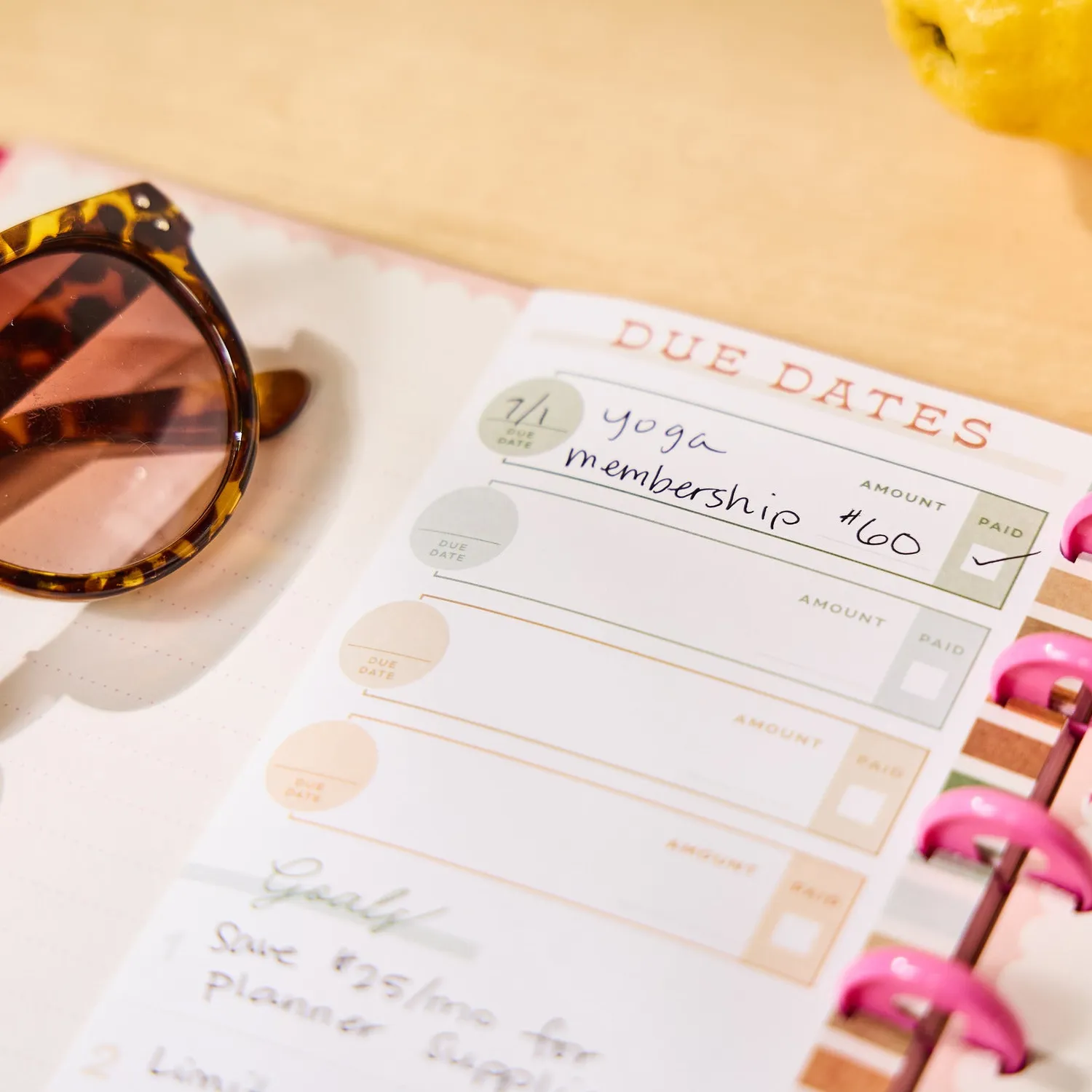 Happy Planner Sage Terracotta recharge budget Classic 40 feuilles
