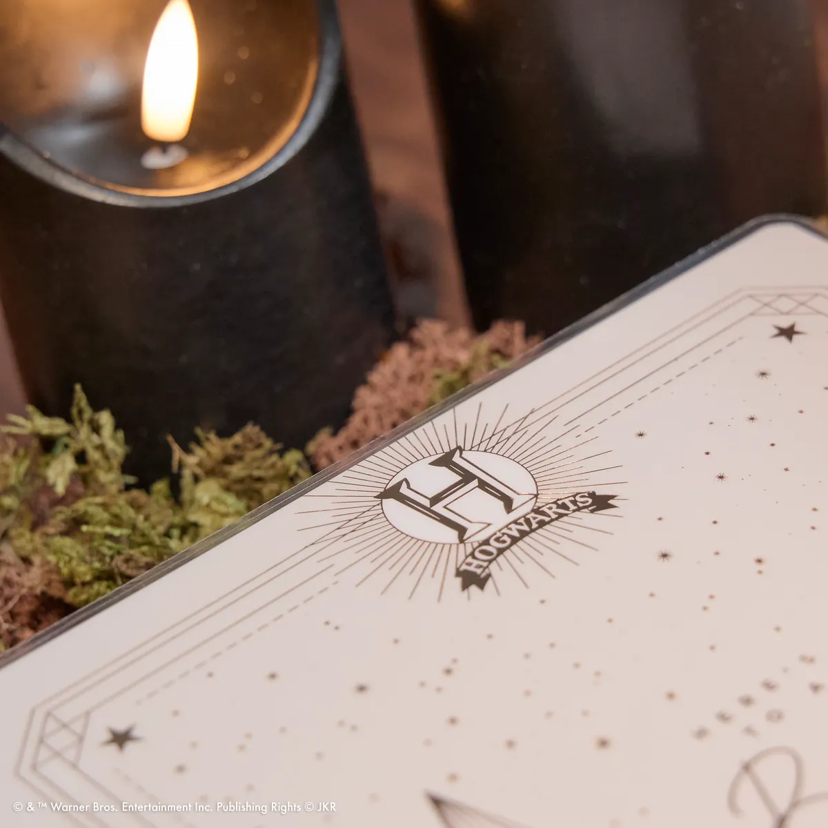 Happy Planner Harry Potter agenda vertical Classic non daté 12 mois