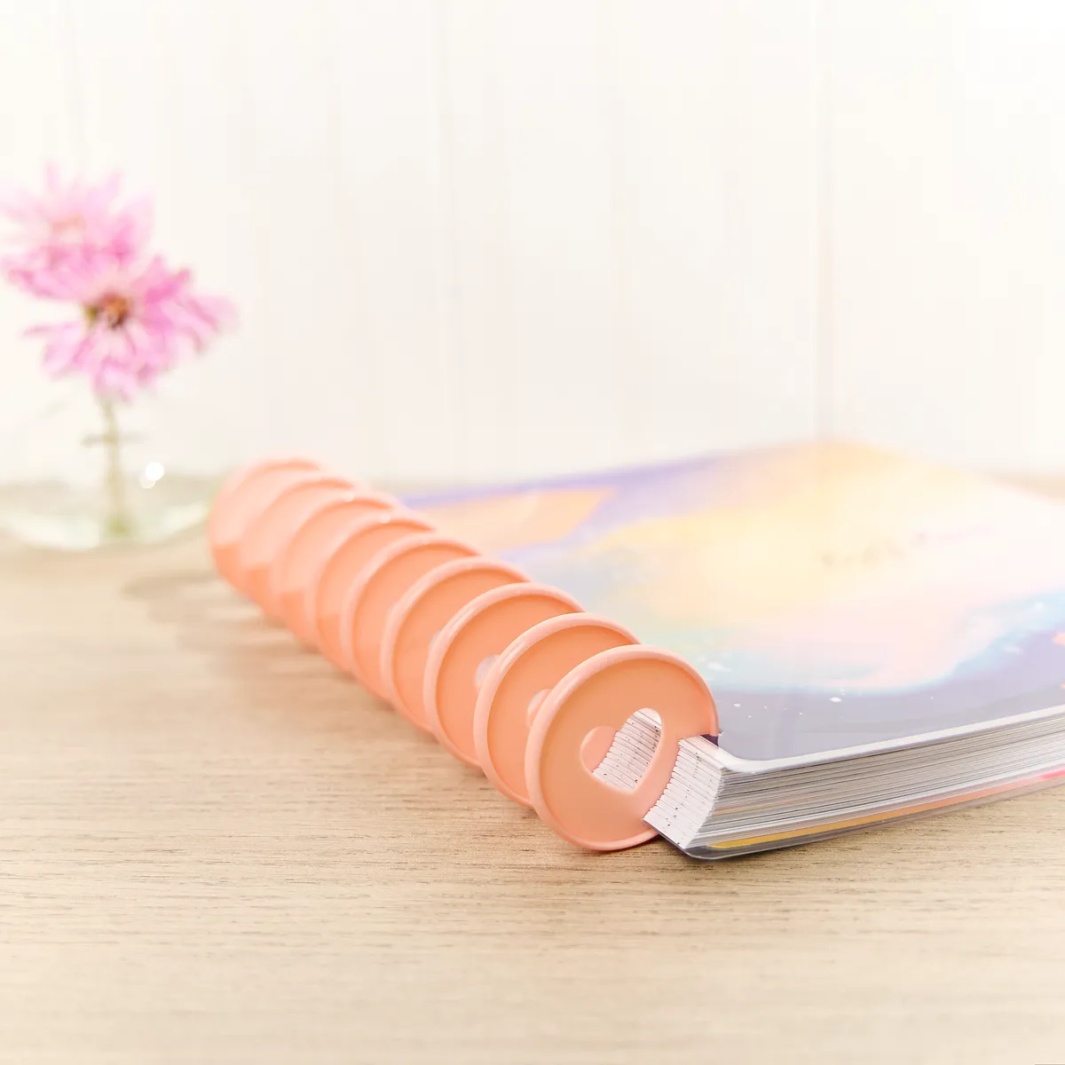 Happy Planner Blush disques plastique Expander x11 rose