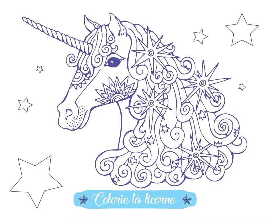 Frigobloc Licorne Style Névéa pochette créative glaces
