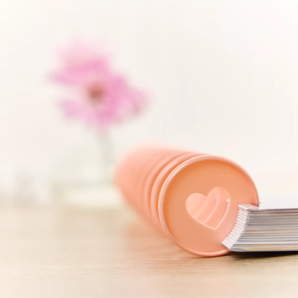 Happy Planner Blush disques plastique Expander x11 rose