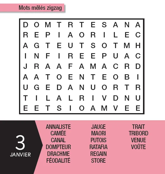 Frigobloc 365 mots mêlés mini calendrier jeux 365 jours