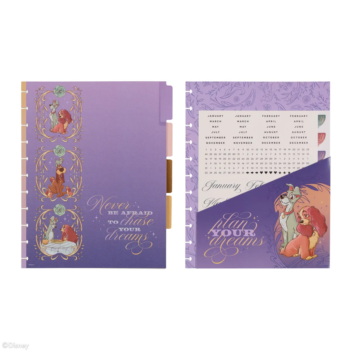 Happy Planner Disney Lady Tramp extension planner Big 4 mois