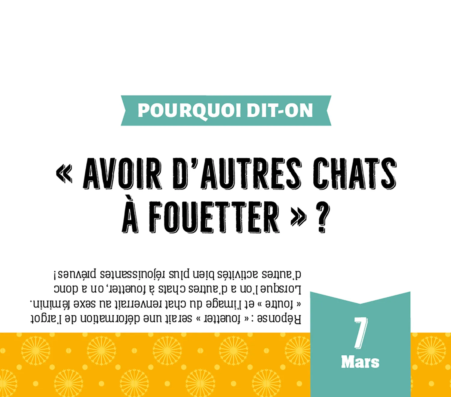 Frigobloc Pourquoi dit-on ? calendrier quiz chevalet 365 jours