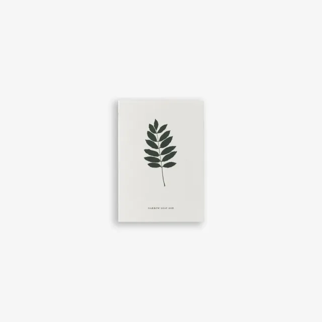 Kartotek Ash carte de vœux petit format frêne