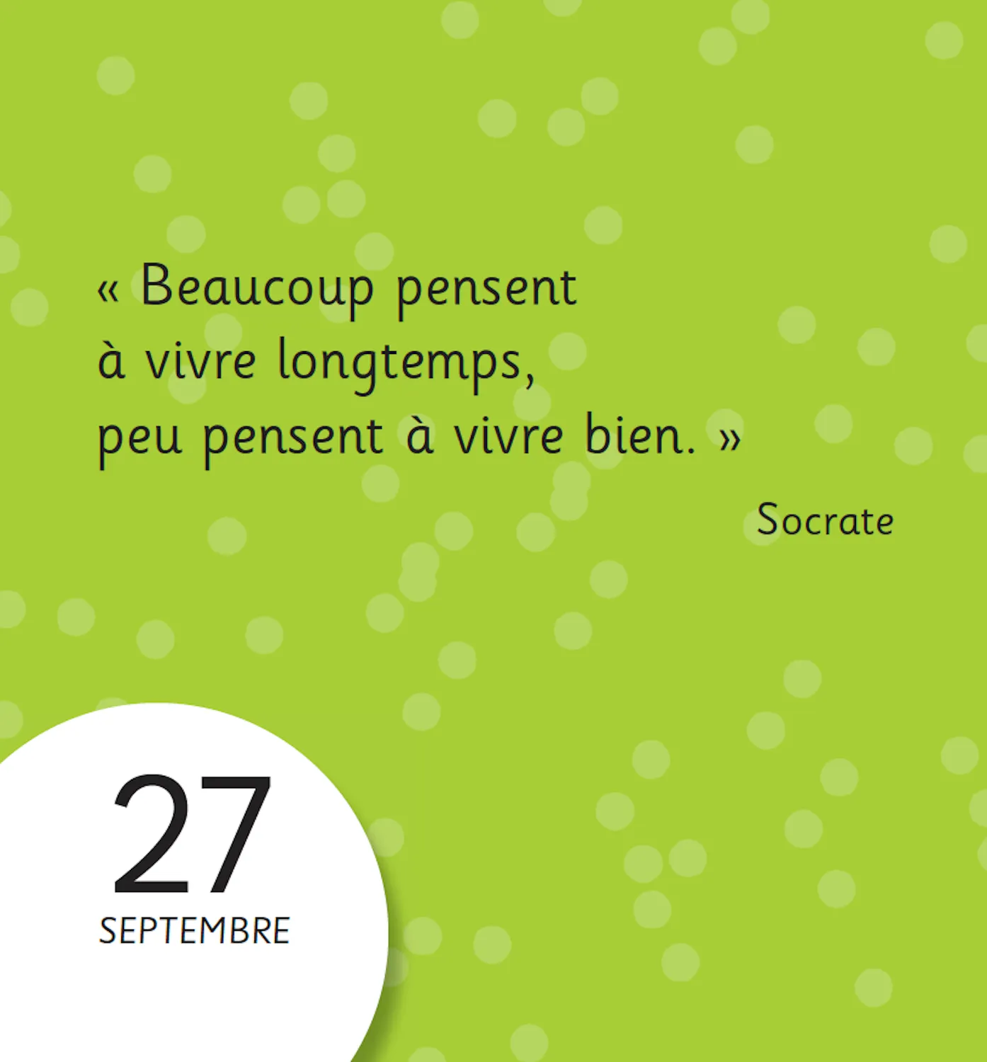 Frigobloc 365 jours zen mini calendrier citations