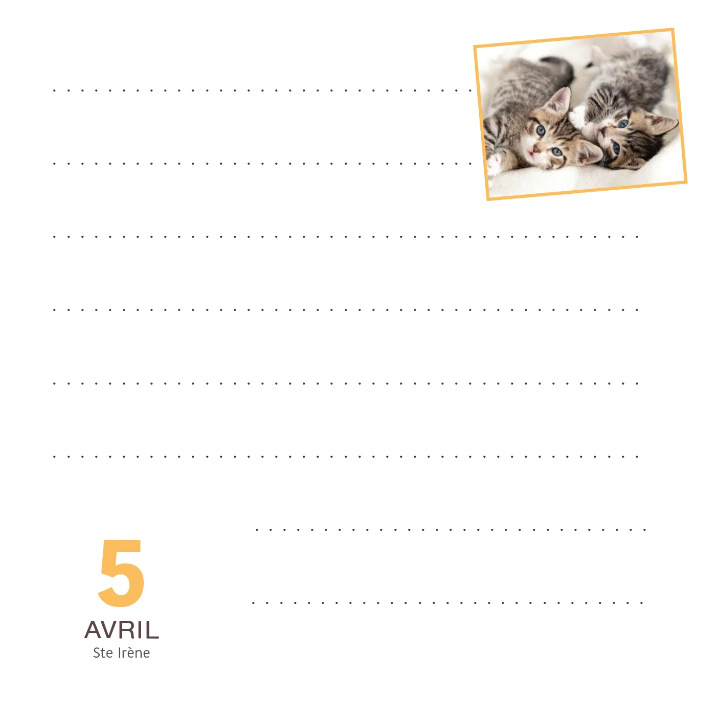 Frigobloc Calendrier Bloc notes Chats bloc mémo photos