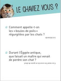 Quiz Chat boîte jeu 350 questions et défis