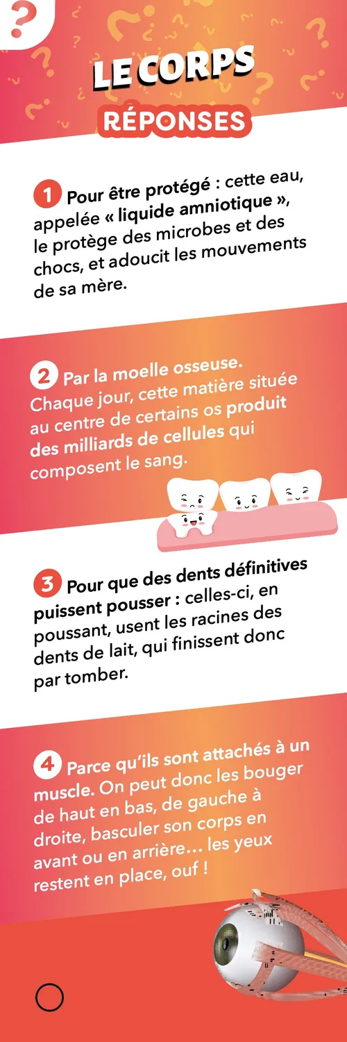 Les Incollables Éventail Passion Pourquoi Comment quiz