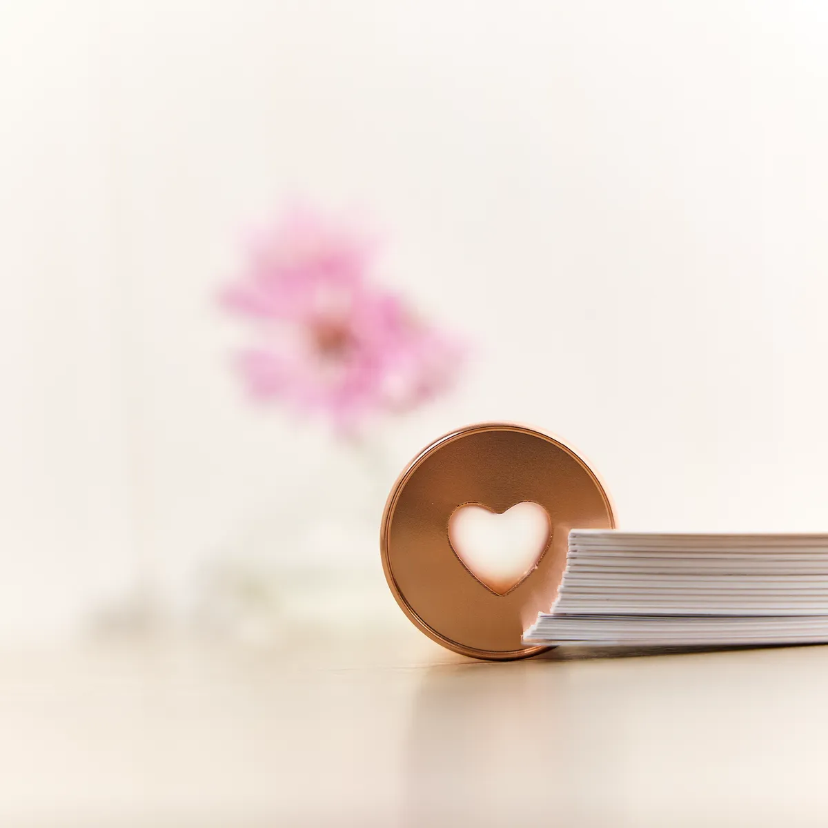 Happy Planner Rose Gold disques métal expander x11