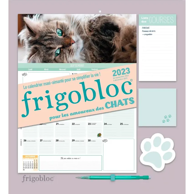 Frigobloc Mensuel Chats 2023 calendrier aimanté famille