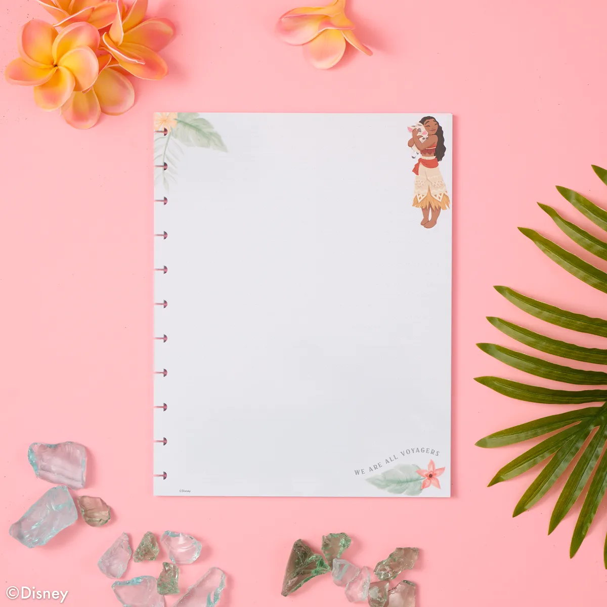 Happy Planner Disney Moana recharge papier pointillé Big 40